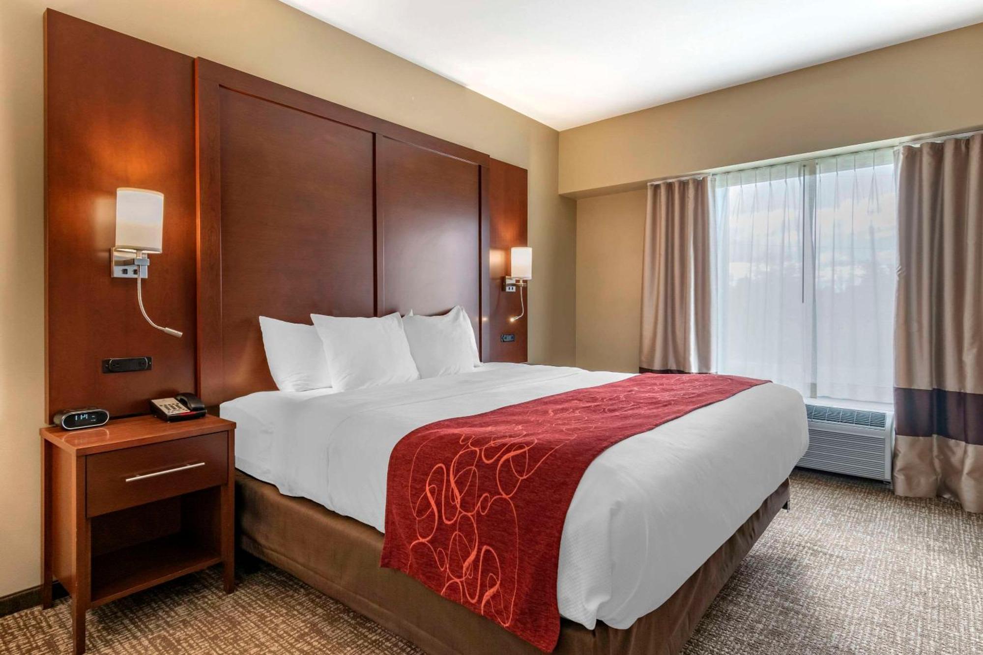 คอมฟอร์ต สวีท มันไฮม์ - แลงคาสเตอร์ Hotel แมนไฮม์ ภายนอก รูปภาพ